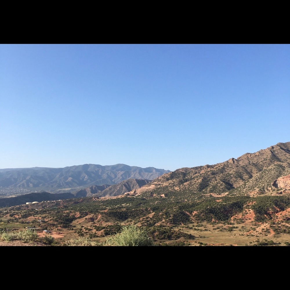 Meet your Posher, Tami